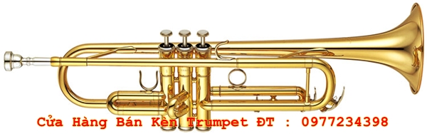 kèn trumpet 2