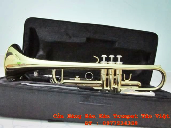 kèn trumpet victoria1