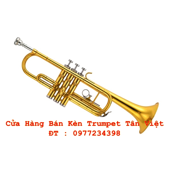 kèn trumpet 