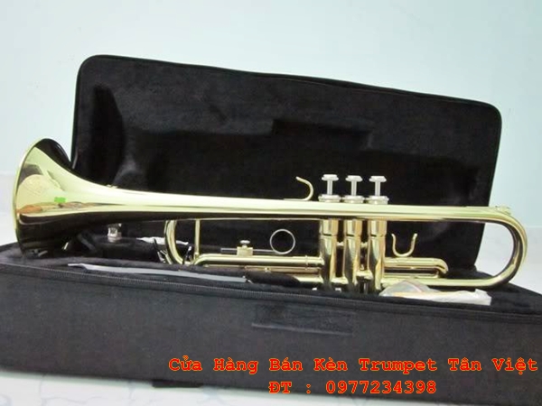 cửa hàng bán kèn trumpet giá rẻ