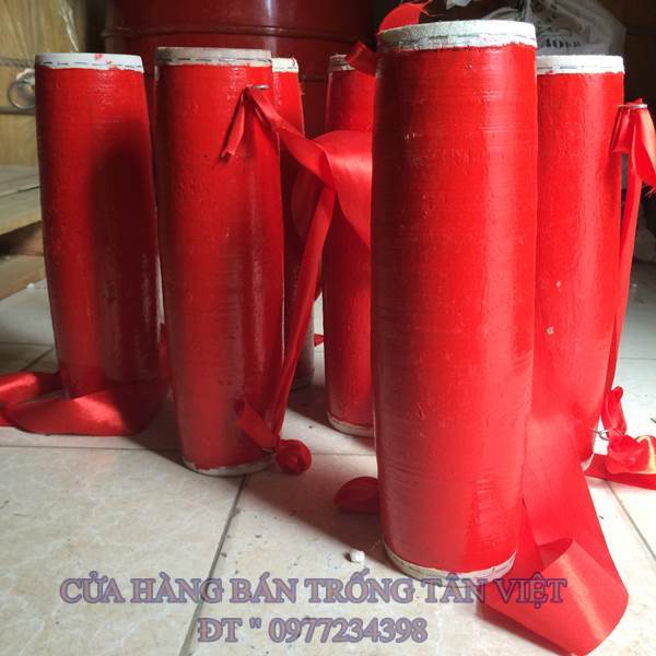 TRỐNG CƠM MÚA BIỂU DIỄN